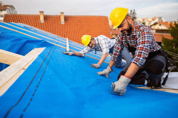 Best Shingle Roofing Installation  in Ethete, WY