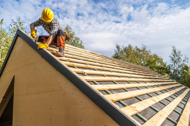 Best Metal Roofing Contractor  in Ethete, WY